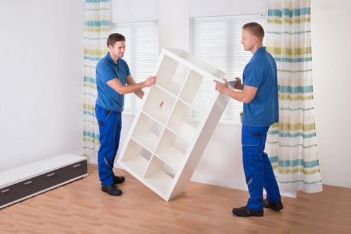 Wardrobe and archive boxes suitable for home and business packing in Epsom