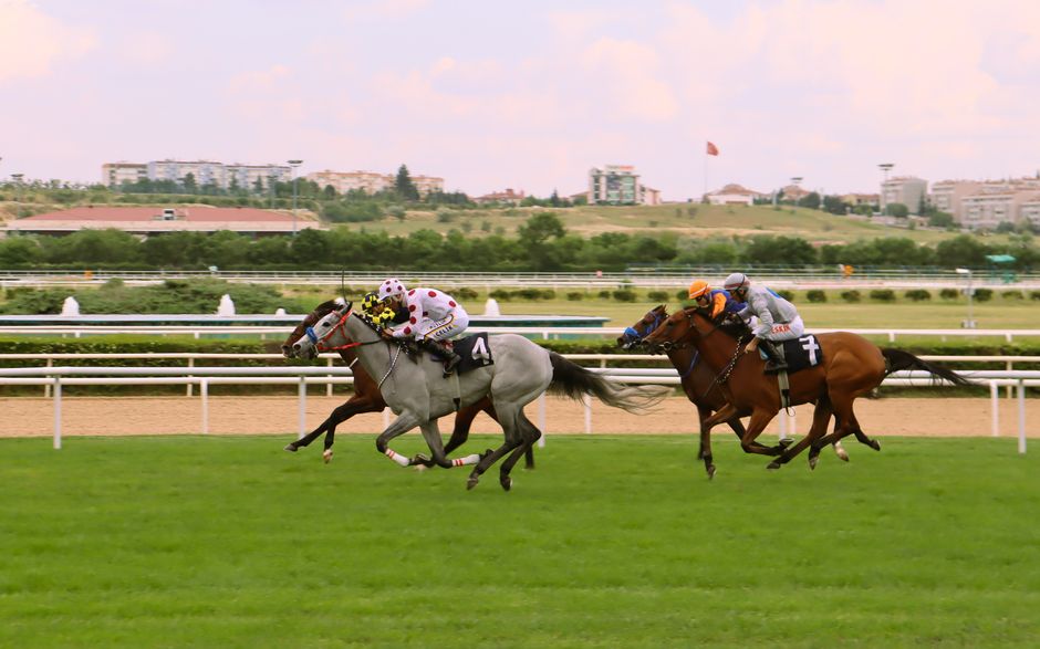 Two racehorses with jockeys competing in a thoroughbred horse race at Epsom Downs, with the horses in mid-gallop on a grass track. The jockeys are wearing brightly coloured silks; one in white with pink spots and the other in orange and grey. The horses are fitted with saddles, bridles, and racing gear, and their manes and tails are flowing as they race. In the background, there is a perimeter rail around the track, with a backdrop of trees, low-rise buildings, and a sky with scattered clouds. The scene captures the action and intensity of a competitive horse race, illustrating the process of competitive furniture transport and home relocation logistics that are often associated with house removals specialists like Man and Van Epsom, especially when handling event equipment for venues such as Epsom Downs Racecourse.