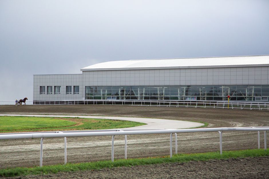 A group of eight racehorses and their jockeys are competing in a thoroughbred race on a grass track, with green foliage and trees in the background and distance markers on the side of the track. The jockeys are wearing colorful silks, including purple, red, yellow, white, and green, and are positioned on their respective horses, which are in mid-stride with their muscles visible. The horses are fitted with saddle cloths, bridles, and protective boots. The racecourse features white fencing along the perimeter and a red marker indicating 2200 meters. In the foreground, a person dressed in red is watching the race, standing behind a hedge that separates the viewing area from the track. The scene captures the action and movement typical of horse racing, with the horses in a close grouping during the home stretch of the race, support for Epsom Downs racecourse events evident through the surroundings, and the focus on the mechanics of racing and horse transportation, relevant to the services provided by Man and Van Epsom in house removals and moving logistics.
